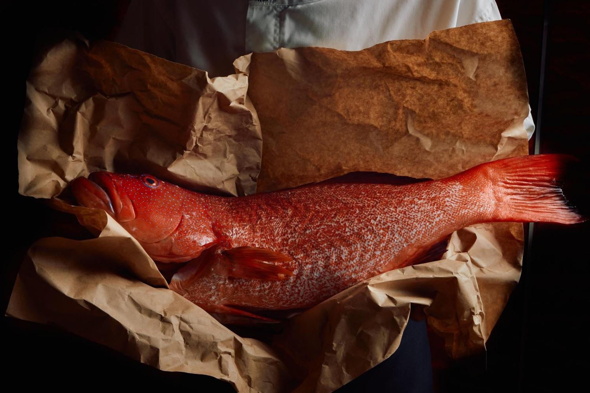 Hotel Park Hyatt Melbourne Esterno foto A smoked turbot